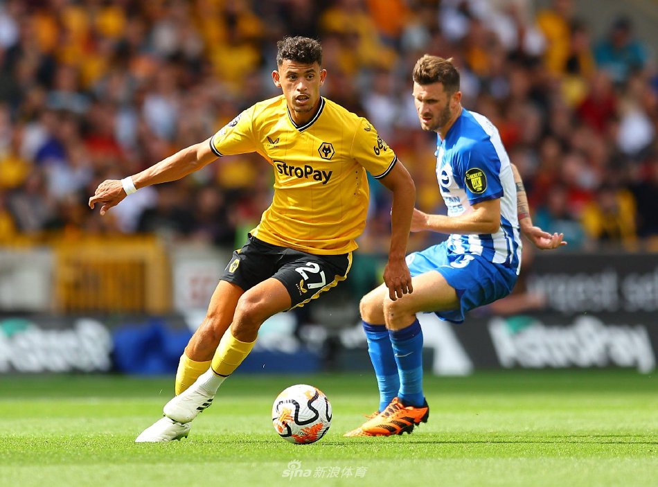 海港正在通 海港正在通